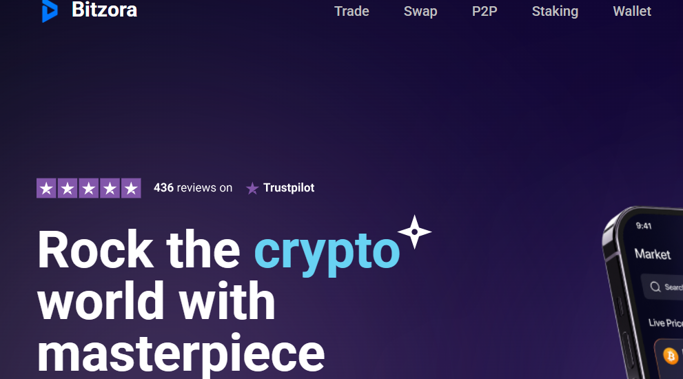 Bitzora.com Scam Exposed