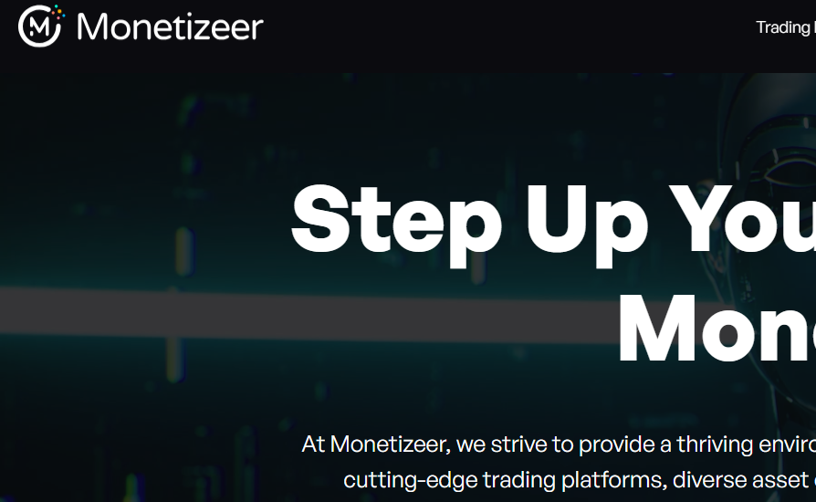 Beware Of The Scam On Monetizeer.top