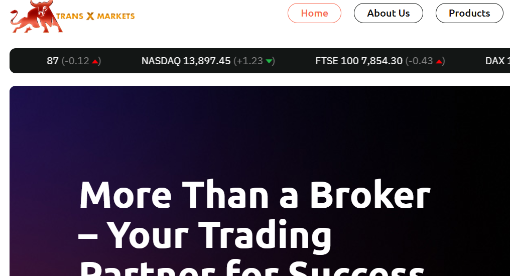 Concise Scam Review Of Transxmarket.com