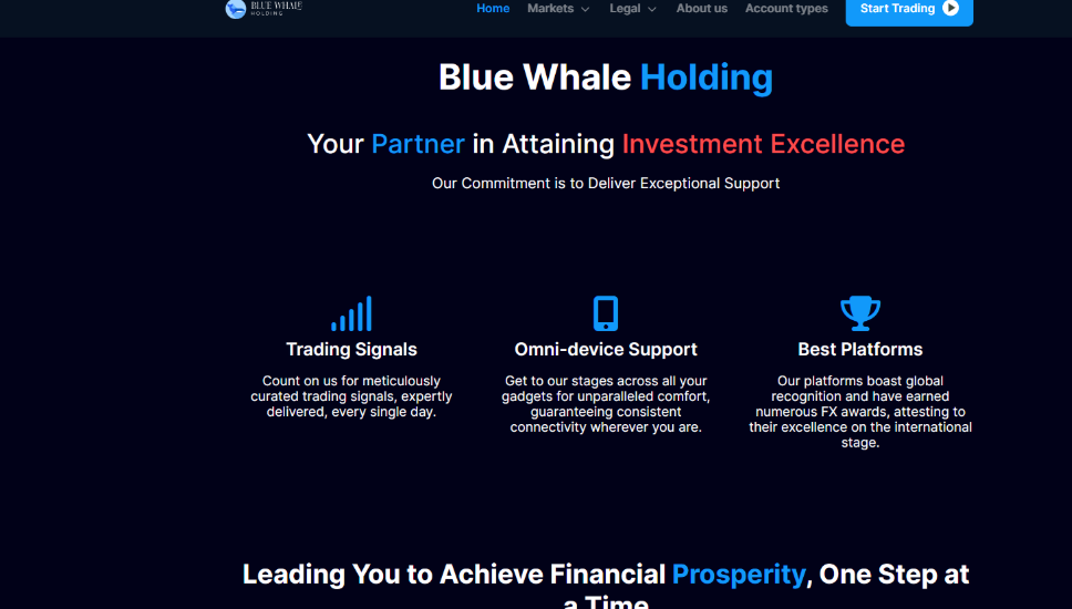 Bluewhaleholding.co Detail Scam Review