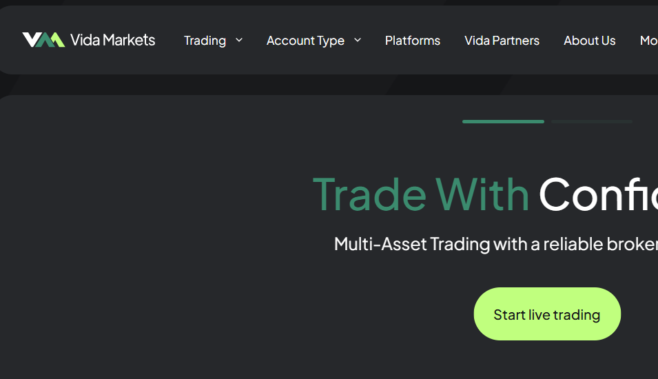 Vidamarkets.com Scam Review