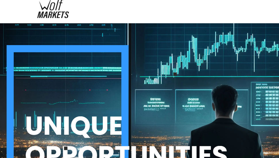 Detail Scam Report On Wolf-markets.com