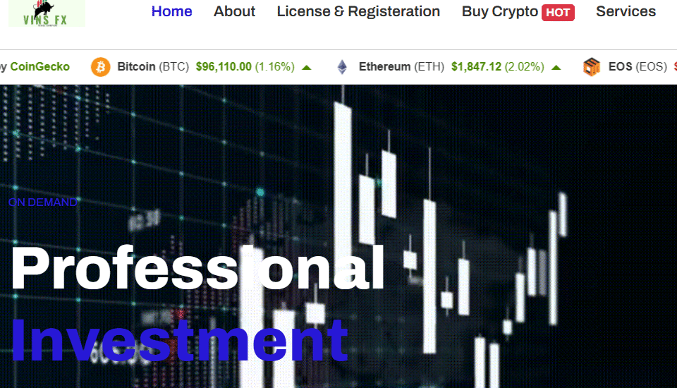 Vinsfx.pro Detailed Scam Analysis