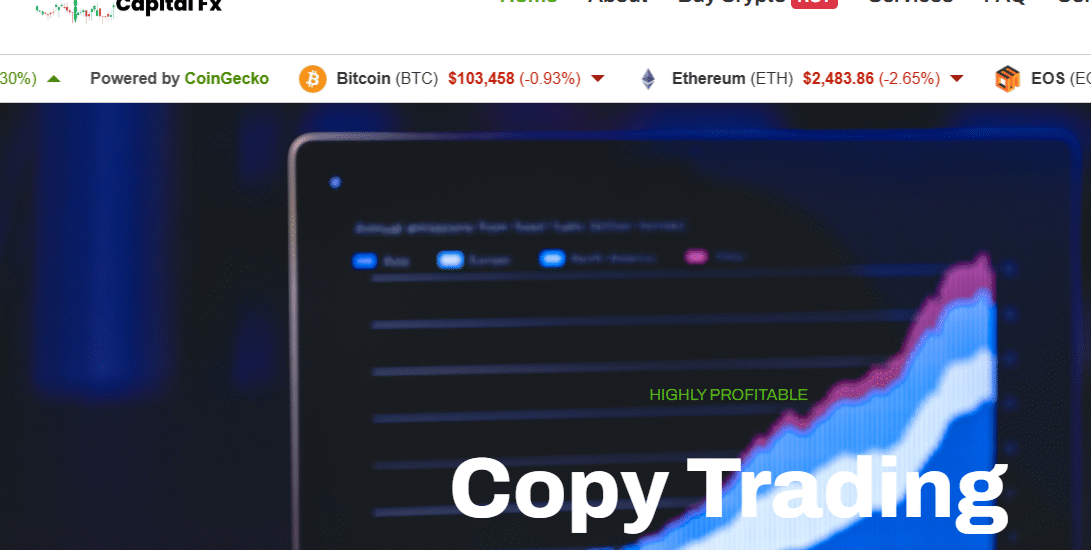 Dark Side Of Dragonflycapitalfx.com