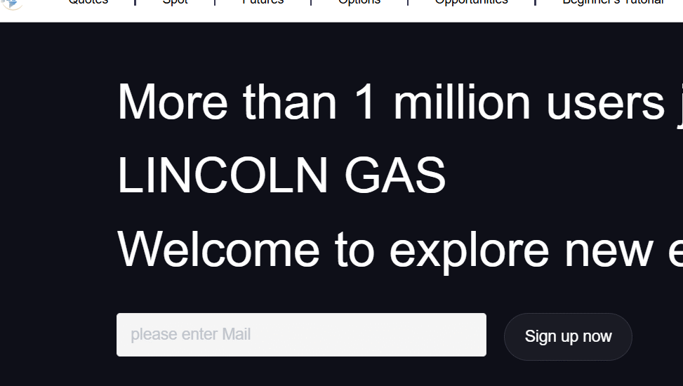 Lincolngas.com - Crypto AI Scam