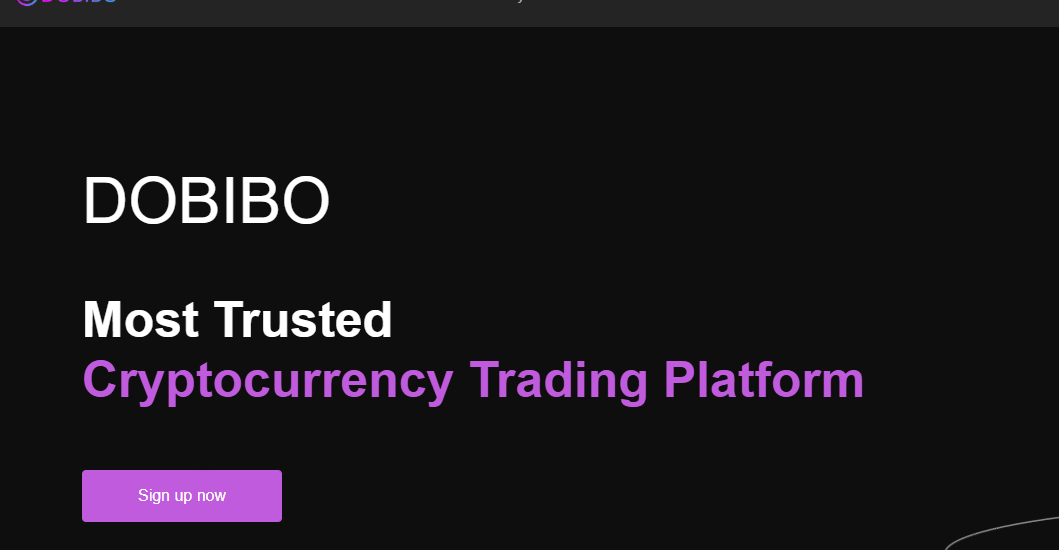 Reviewing Dobibo.com Scam