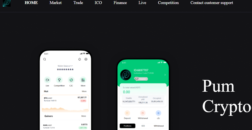 Pum-exchange / Pulsecoin-exchange Exposed