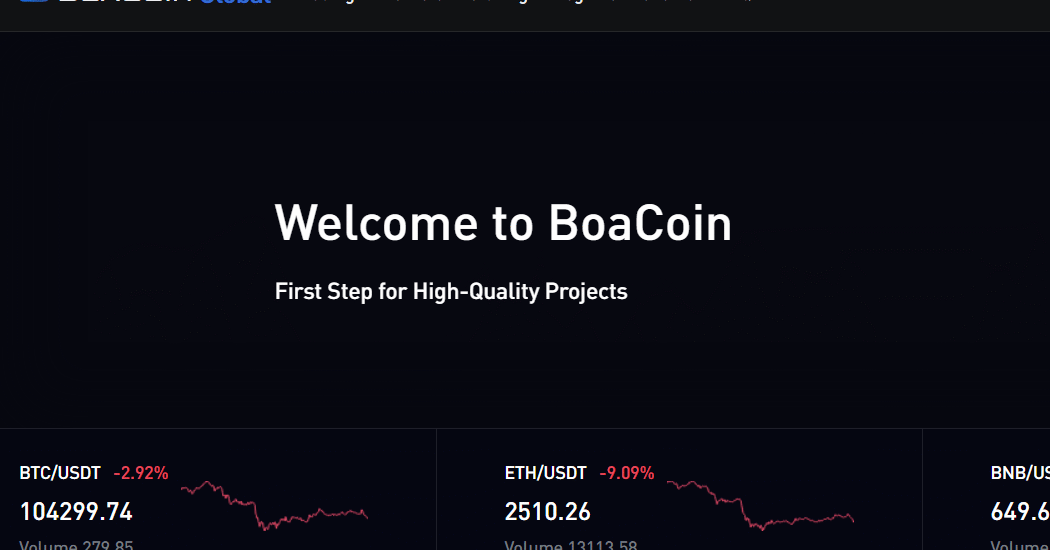 Boacoin.global Detailed Scam Analysis