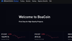 Boacoin.global Detailed Scam Analysis