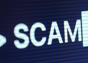 Qwidex.com Concise Scam Review