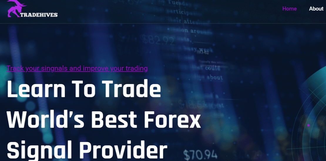 Reviewing Tradehives.org Scam
