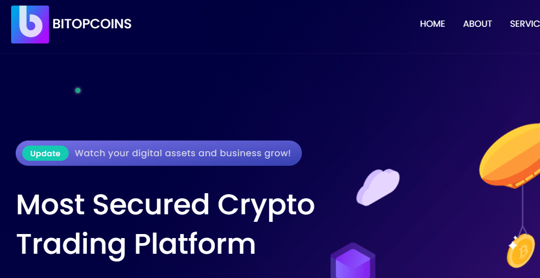 Bitopcoins.com Scam Investigated