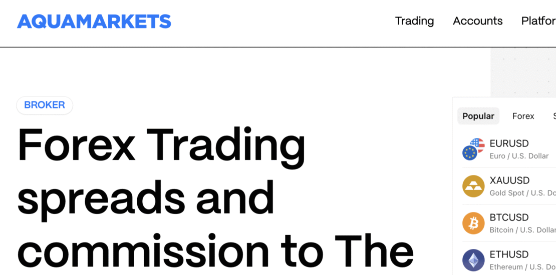 In-Depth Scam Review Of Aquamarkets.io