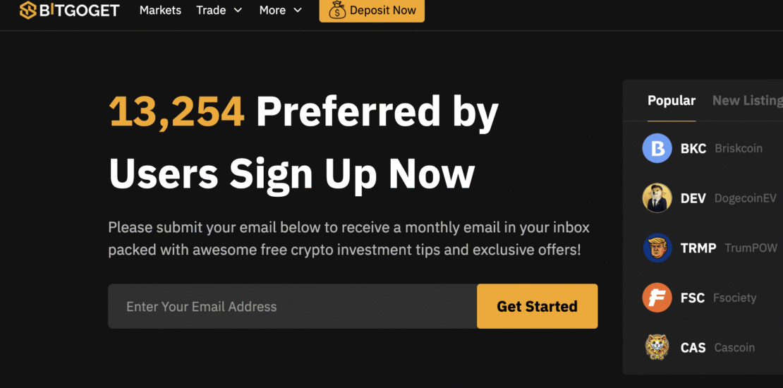 Bitgoget.com - Potential Scam Exposed