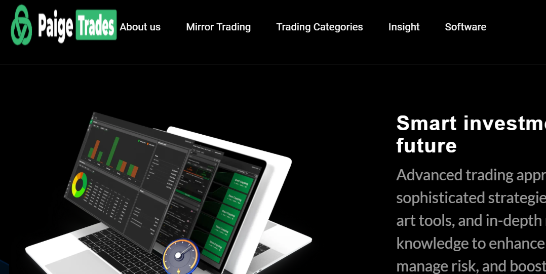 Concise Scam Review Of Paigetrades.com