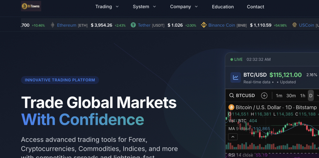 Bitownsza.com Detailed Scam Review