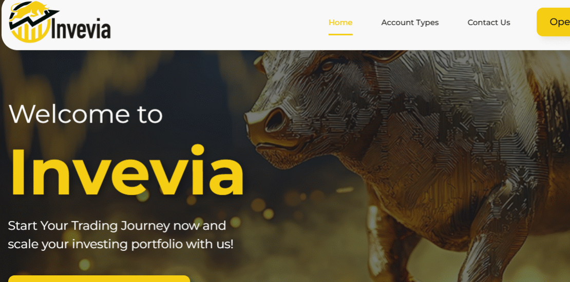 Invevia.co Detailed Scam Review
