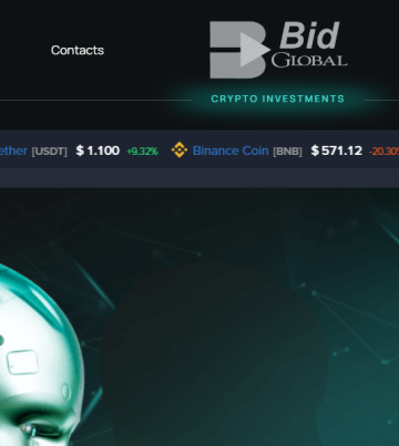 Bidexglobal.com Exposed For Scam